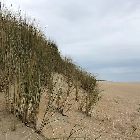 Holiday home Lovely Beachhouse In Ouddorp
